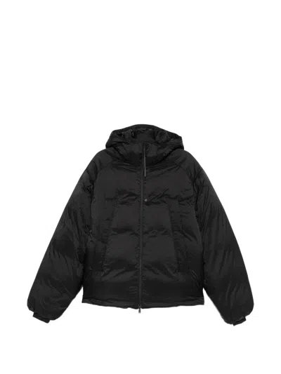 Y-3 Quilted Puffer Down Jacket In Black