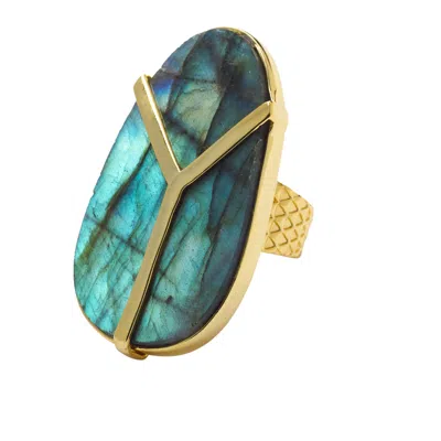 Yaa Yaa London Women's Blue / Brown / Green Yaa Yaa Labradorite Gemstone Gold Statement Ring In Multi