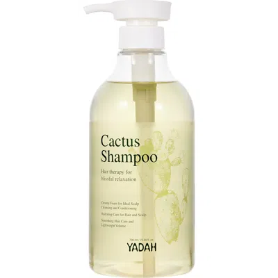 Yadah Cactus Shampoo In Yellow