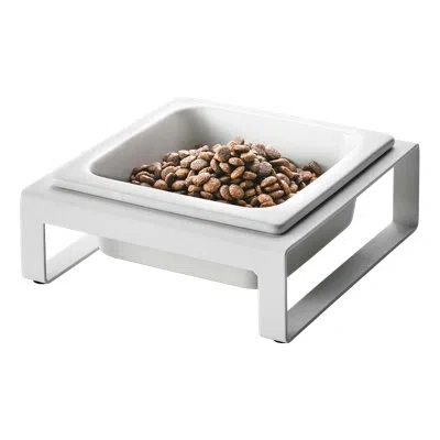 Yamazaki Home Steel And Ceramic Elevated Feeder In White