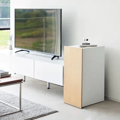 Yamazaki Home Video Game Storage Cabinet, Steel In White,natural