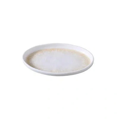 Yanco Optimum Melamine Platter