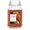Yankee Candle Autumn Abundance Original Large Jar Candles, 22 oz In Brown