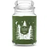 Yankee Candle Balsam And Cedar Original Large Jar Candle, 22 oz In Green