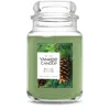 Yankee Candle Balsam And Cedar Original Large Jar Candles, 22 oz In Green
