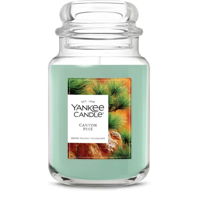 Yankee Candle Canyon Pine Original Large Jar Candle, 23 oz In Green