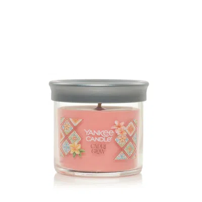 Yankee Candle Capri Glow Signature Small Tumbler Candle, 4.3 oz In Pink