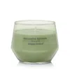Yankee Candle Enchanted Orchard Studio Collection Candles, 10 Oz, Medium In Green
