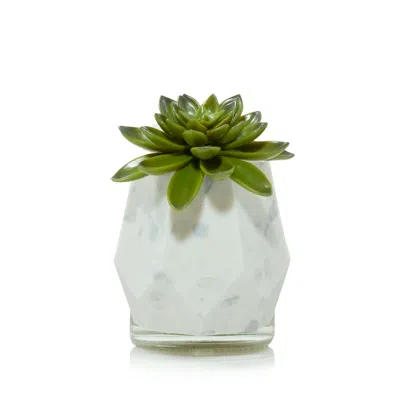 Yankee Candle Faceted Succulent Scentplug Diffuser W/ Light Scentplug Diffuser With Light In White