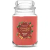 Yankee Candle Harvest Gems Original Large Jar Candles, 22 oz In Red