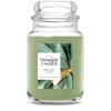 Yankee Candle Holiday Sage Original Large Jar Candles, 22 oz In Green