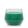 Yankee Candle Holiday Winterfest Studio Collection Candles, 10 Oz, Medium In Green