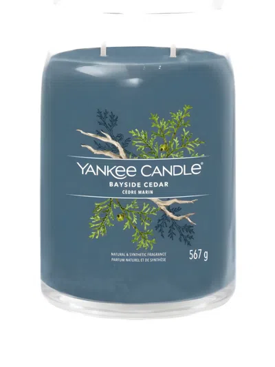 Yankee Candle Large Bayside Cedar Candle In Blue