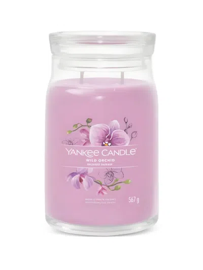 Yankee Candle Large Wild Orchid Candle In Purple
