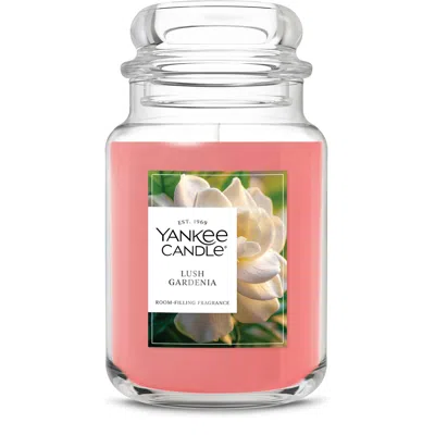 Yankee Candle Lush Gardenia Original Large Jar Candle, 33 oz In Pink