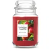 Yankee Candle Macintosh Original Large Jar Candles, 22 oz In Red