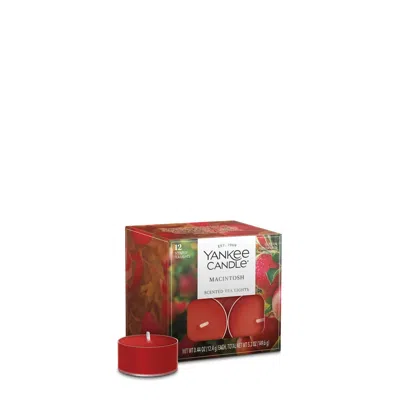 Yankee Candle Macintosh Tea Light Candles, 0.44 Each In Red