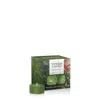 Yankee Candle Mistletoe Tea Light Candles, 0.44 oz Each