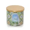Yankee Candle Olive And Cypress 3-wick Candles, 14.5 oz In Multi