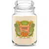 Yankee Candle Paradise Pumpkin Original Large Jar Candles, 22 oz In Multi