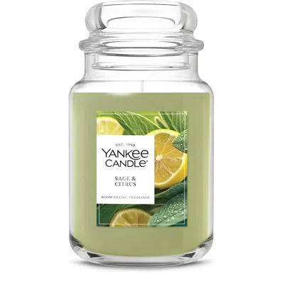 Yankee Candle Sage And Citrus Original Large Jar Candles, 22 oz