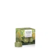 Yankee Candle Sage And Citrus Tea Light Candles, 0.44 oz Each In Green