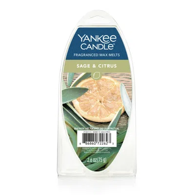 Yankee Candle Sage And Citrus Wax Melts 6-packs, 2.6 oz
