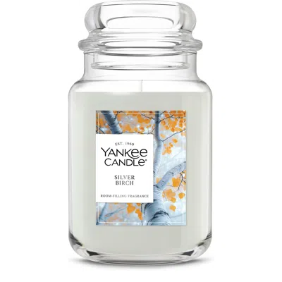 Yankee Candle Silver Birch Original Large Jar Candles, 22 oz