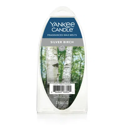Yankee Candle Silver Birch Wax Melts 6-packs, 2.6 oz