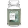 Yankee Candle Silver Sage And Pine Original Large Jar Candles, 22 oz In Green