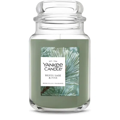 Yankee Candle Silver Sage And Pine Original Large Jar Candles, 22 oz