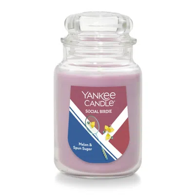 Yankee Candle Social Birdie - Melon And Spun Sugar 22 Oz. Original Large Jar Candles, 22 oz In Pink