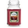 Yankee Candle Vintage Velvet Original Large Jar Candle, 22 oz