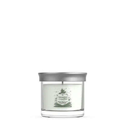 Yankee Candle White Spruce And Grapefruit Small Tumbler Candle, 4.3 oz