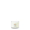 Yankee Candle White Spruce And Grapefruit  Minis, 1.3 oz In White