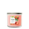 Yankee Candle White Strawberry Bellini 3-wick Candles, 14.5 oz
