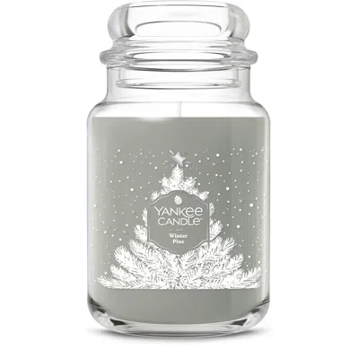 Yankee Candle Winter Pine Original Large Jar Candle, 22 oz