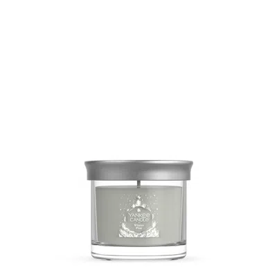 Yankee Candle Winter Pine Small Tumbler Candle, 4.3 oz