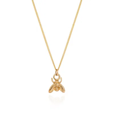 Yasmin Everley Jewellery Women's Solid Gold Little Fly Necklace