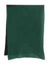 Yavi Wool-silk Scarf In Green