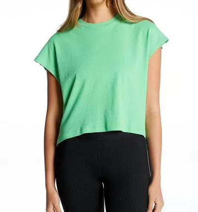 Year Of Ours Best Short Sleeve Tee In Summer Green In Multi