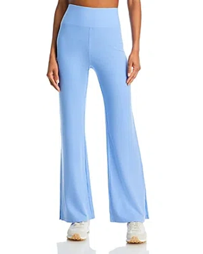 Year Of Ours Flight Pants In Baby Blue