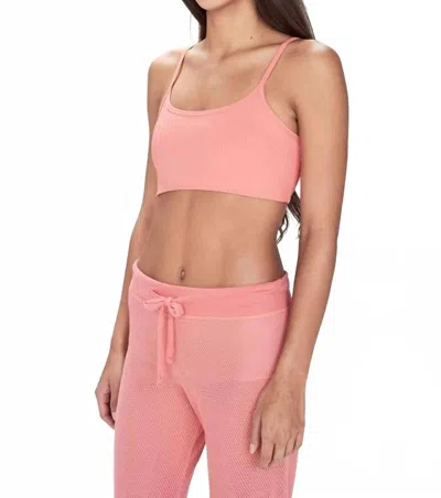 Year Of Ours Ribbed Bralette In Coral In Pink