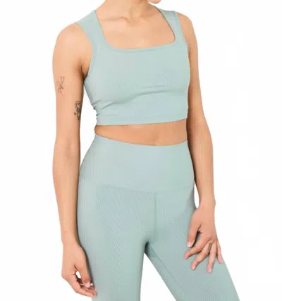 Year Of Ours Ribbed Diana Bra In Basil In Gray