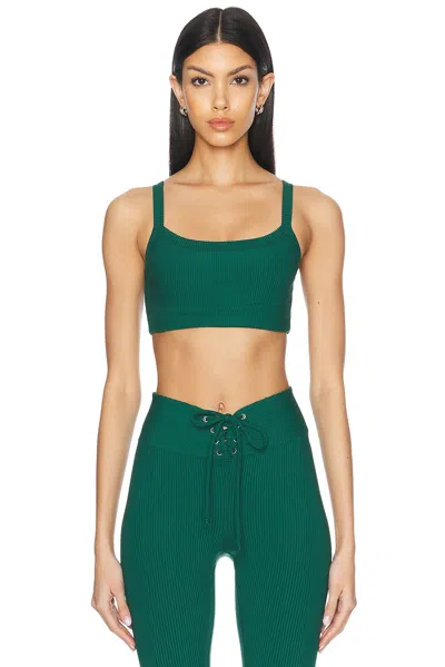 Year Of Ours Ribbed Sports Bra In Forest