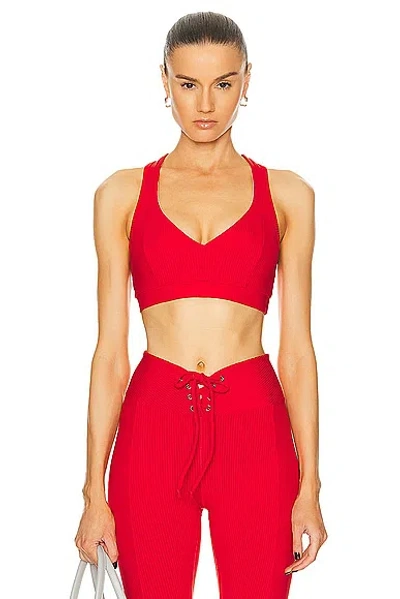 Year Of Ours Ribbed Tess Bra In Red