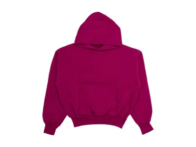 Pre-owned Yeezy Men's  Gap Hoodie In Purple