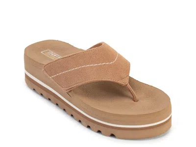 Yellow Box Calica Wedge Sandal In Brown