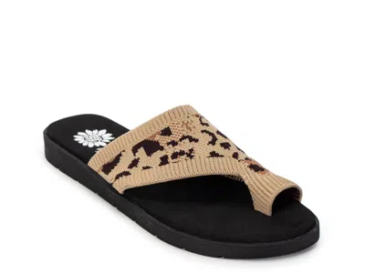 Yellow Box Feeza Sandal In Multi