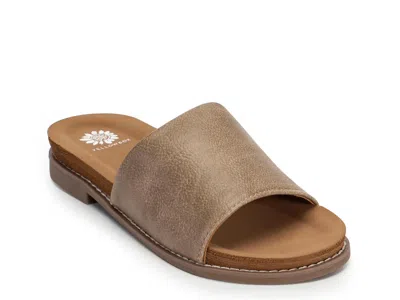 Yellow Box Kalo Sandal In Brown